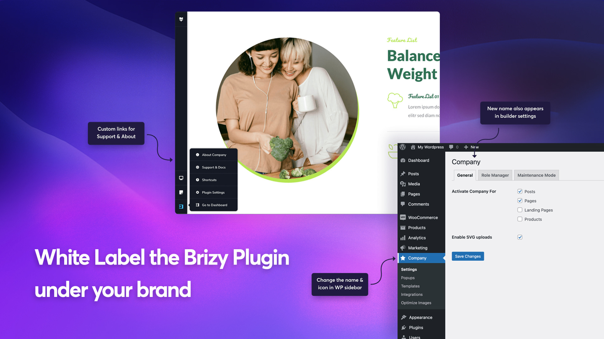 Brizy WordPress